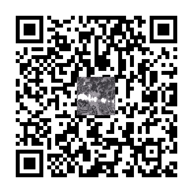 待添加