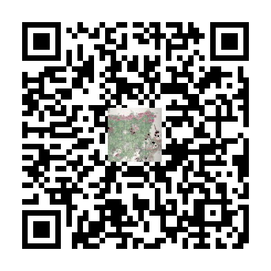 待添加