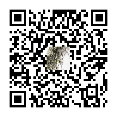 待添加